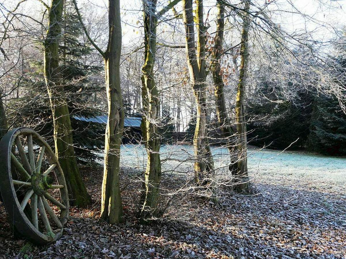 Zur Schanze Holtgast-Apen ภายนอก รูปภาพ